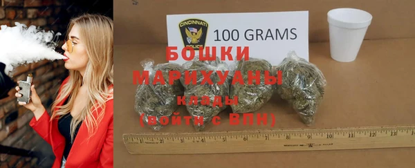 индика Балабаново