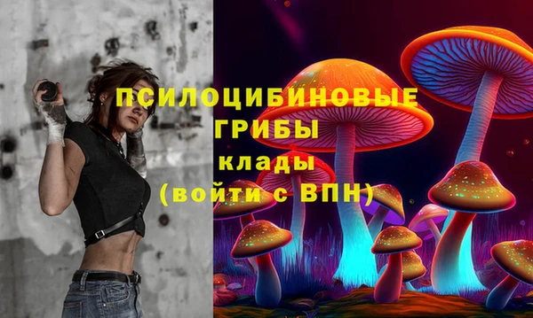 амф Аркадак
