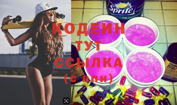 индика Балабаново