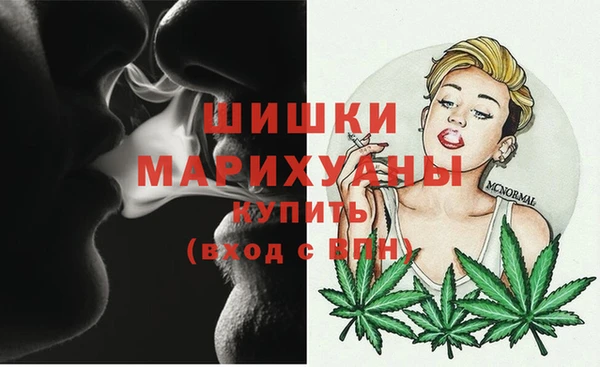 индика Балабаново